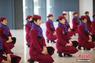 重慶動(dòng)妹禮儀培訓(xùn)備戰(zhàn)春運(yùn) 強(qiáng)化服務(wù)迎佳節(jié)